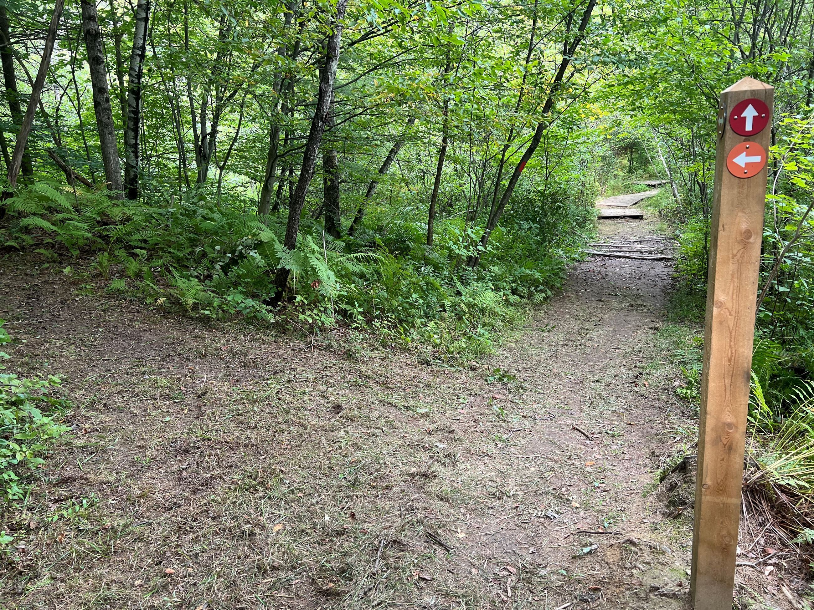 Bombardier Park Red Trail & Orange Trail