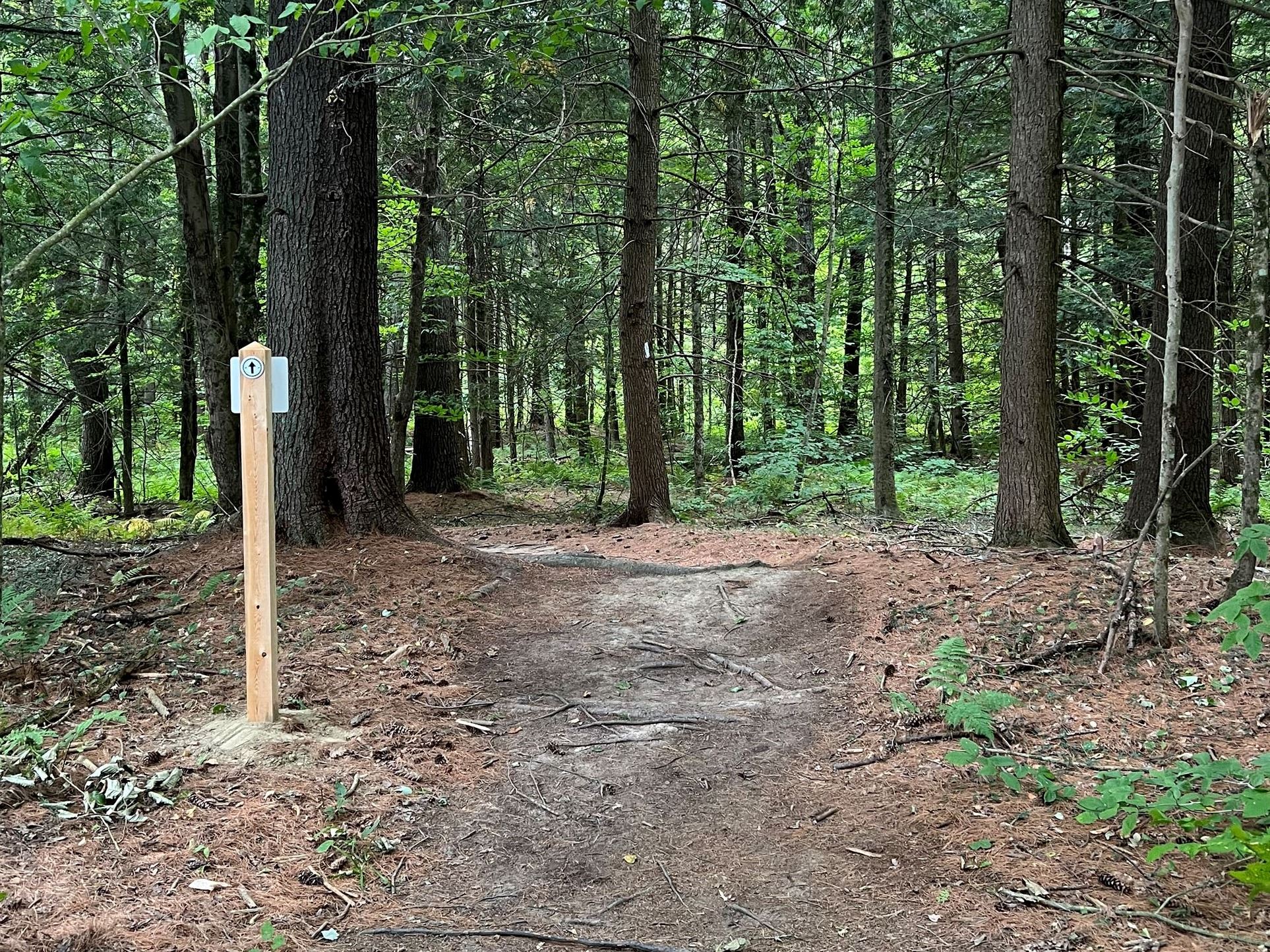 Mountain Bike Trails Entrance