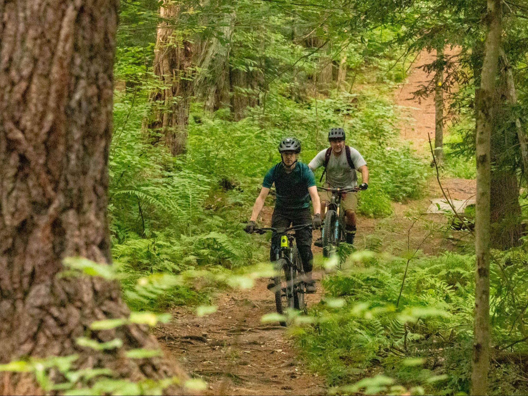 Mountain Bike Riders