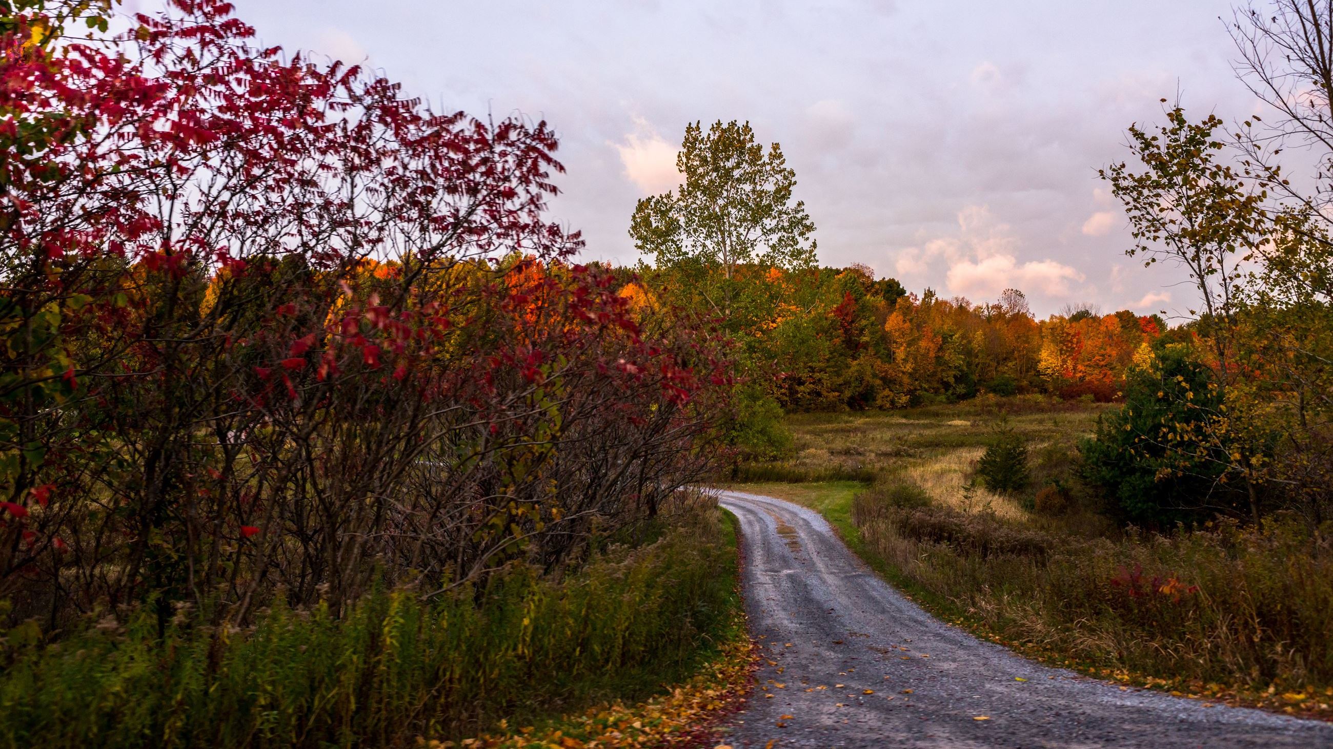 Autumn Dirt Road